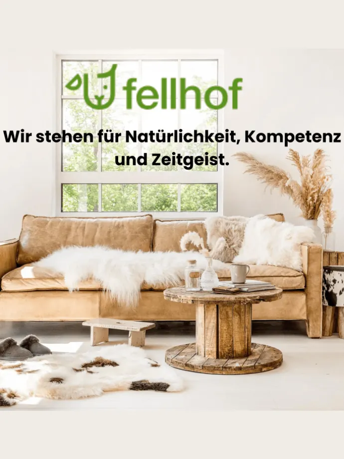 Kinderwagen Einlage TOP in Creme