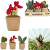 Kuscheltiere ''Kawaii Plant'' - ab Geburt (Überraschungsprodukt)