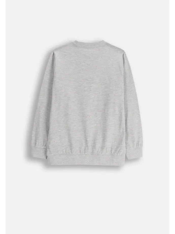 Langarmshirt in grau