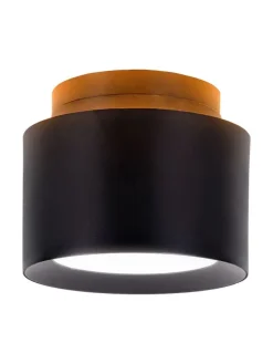 LED-Deckenspot 