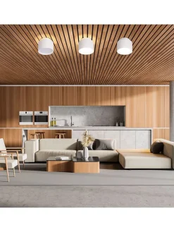 LED-Deckenspot