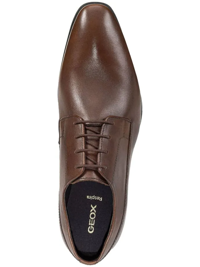 Leder-Schnürschuhe "Uomo High Life" in Braun