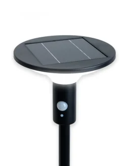 LED-Solarstehleuchte