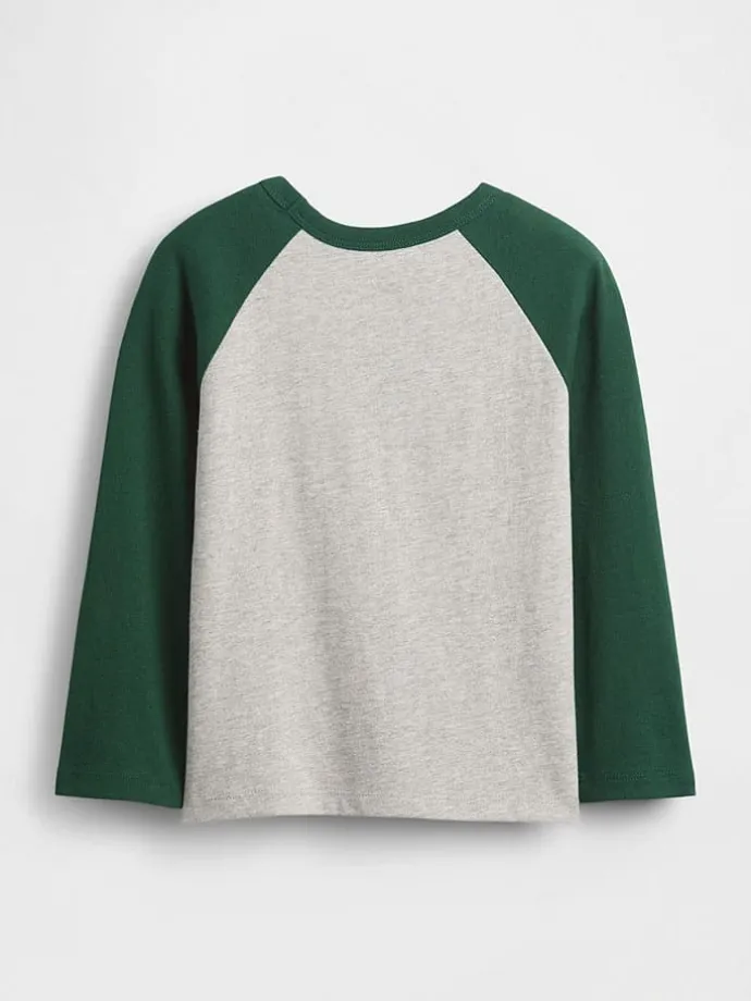 Longsleeve in Grau/ Grün