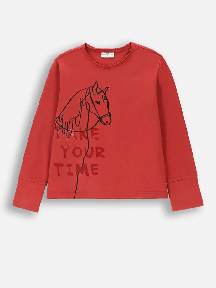 Longsleeve in Rot