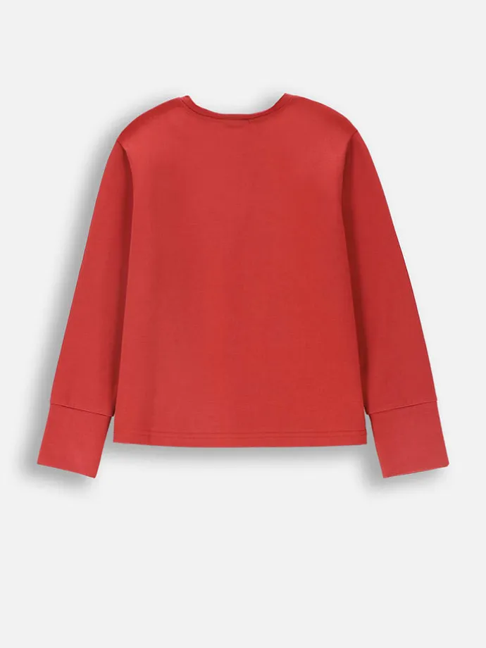 Longsleeve in Rot