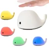 Nachtlicht Whale