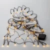 Netz LED-Lichterkette ,Akku, Batterie, warmweiß, outdoor, 80 LEDs, 15