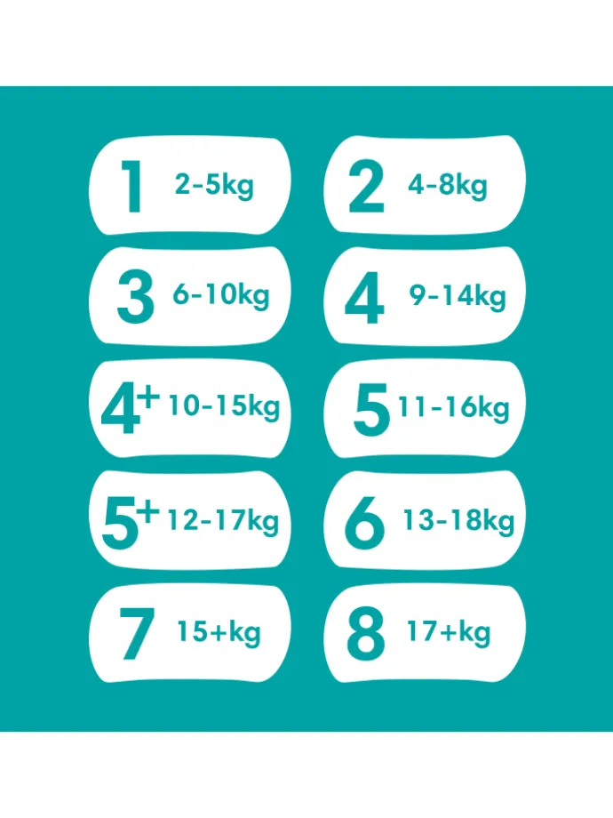 Pampers Baby-Dry Größe 3, 222 Windeln, 6kg-10kg
