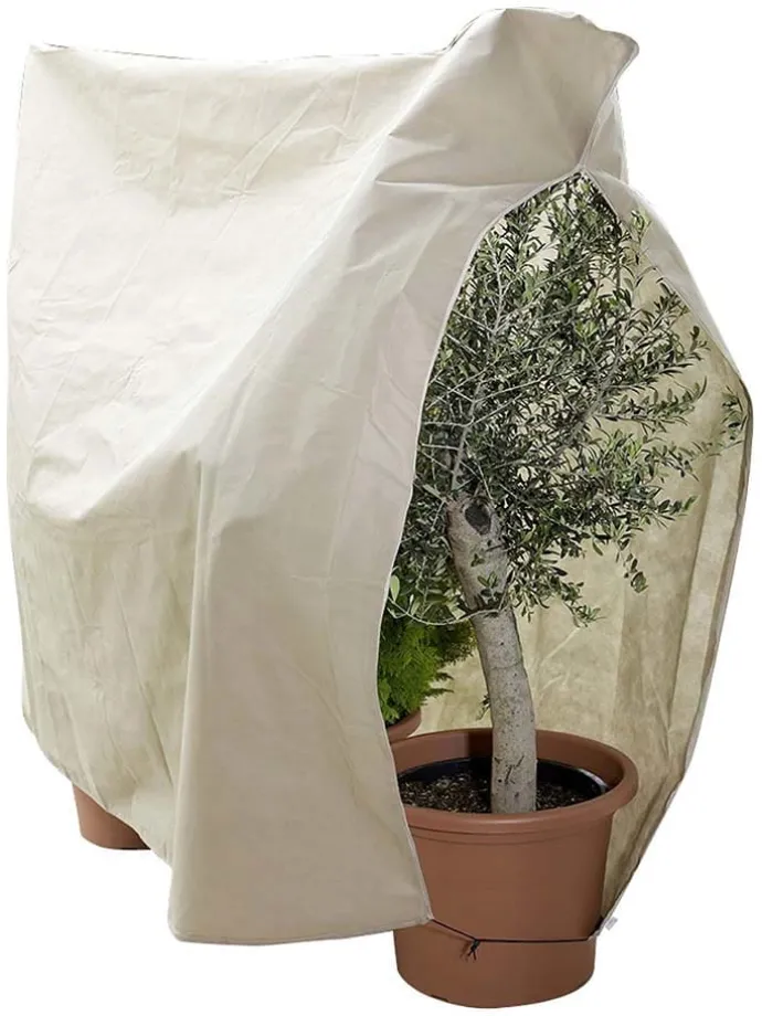 Pflanzenschutz in Beige - (B)240 x (H)200 cm