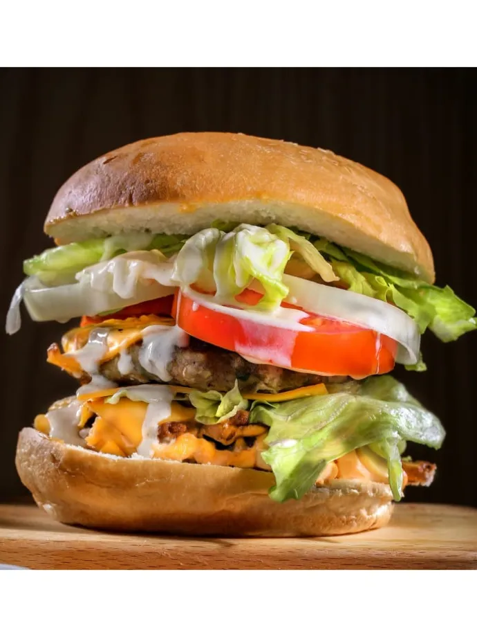 Profi Burgerpresse Edelstahl in silber