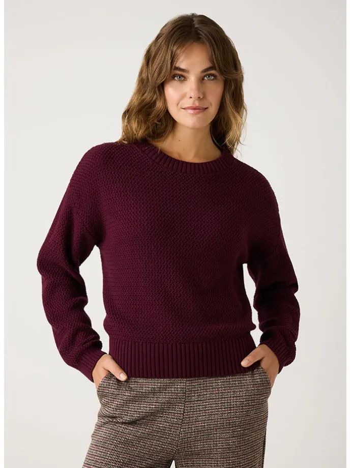 Pullover in Bordeaux