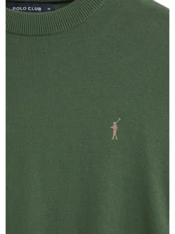 Pullover in Grün