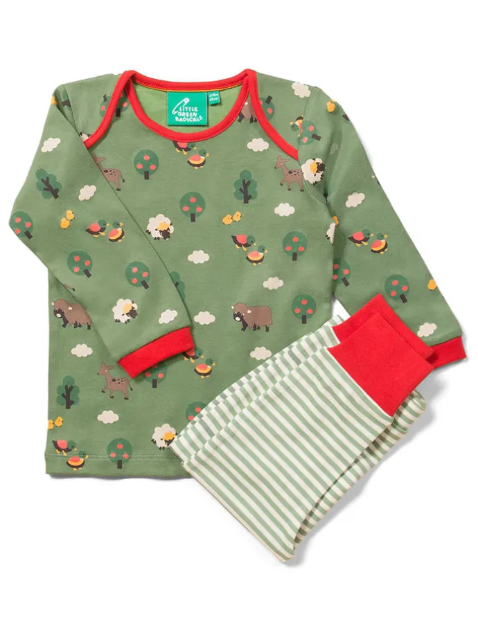 Pyjama "Animal Friends" in Grün