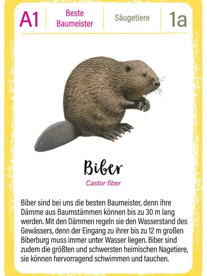 Quartett "Tierrekorde" - ab 8 Jahren