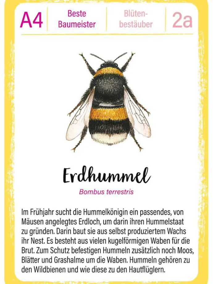 Quartett "Tierrekorde" - ab 8 Jahren