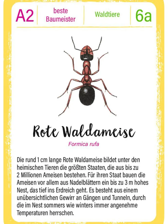 Quartett "Tierrekorde" - ab 8 Jahren