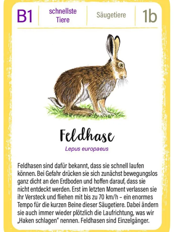 Quartett "Tierrekorde" - ab 8 Jahren