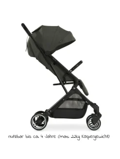 Reisebuggy & Sportwagen Travel N Care mit