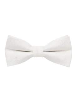 Set bestehend aus Fliege und Einstecktuch in creme