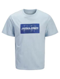 Shirt "Cole" in Hellblau