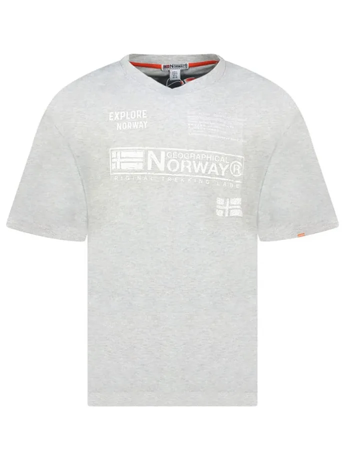 Shirt "Jartin" in Grau