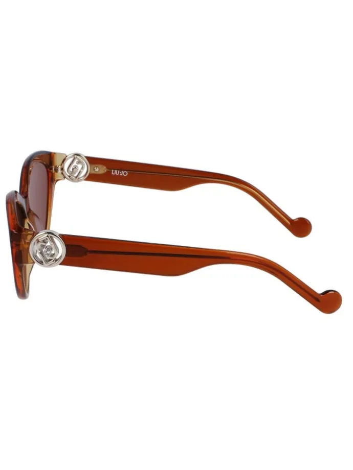 Sonnenbrille in Brown