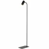 Stehlampe (B)15 x (L)27 x (H)124 cm in Schwarz Gold