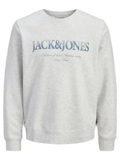 Sweatshirt "Devin" in Grau