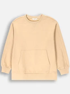 Sweatshirt in Beige