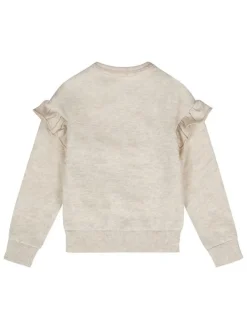 Sweatshirt in Beige