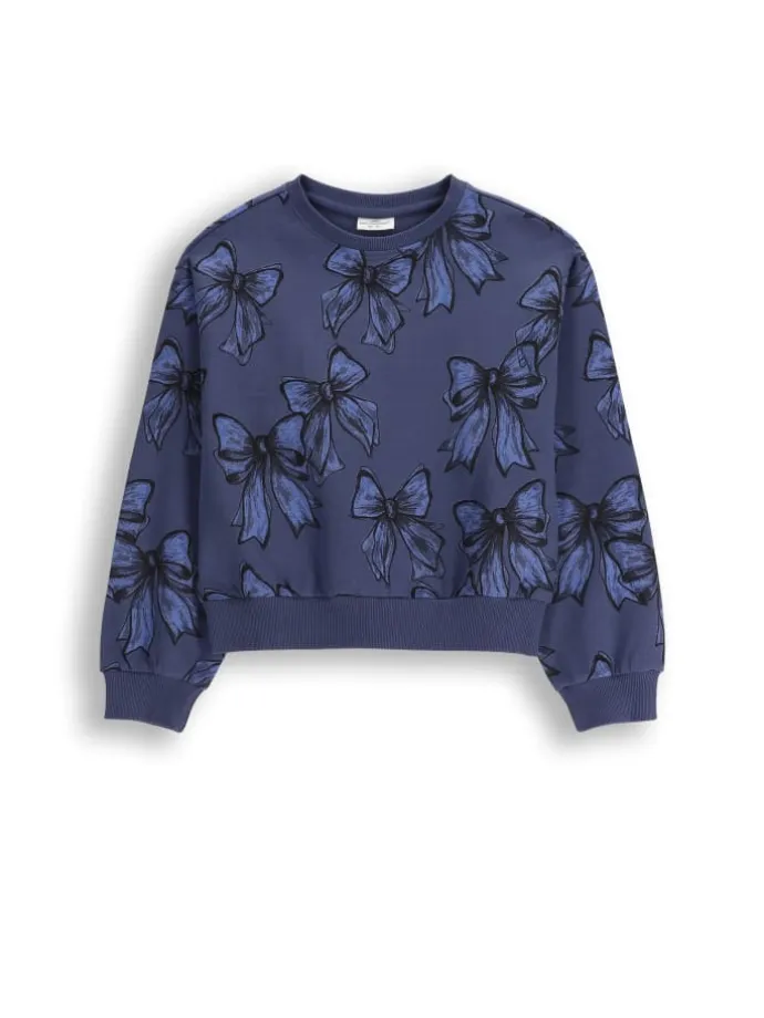 Sweatshirt in dunkelblau