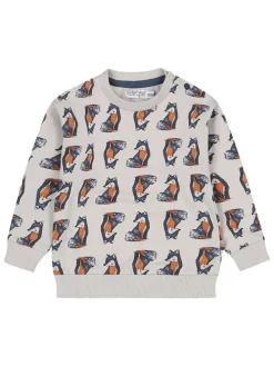 Sweatshirt in Grau