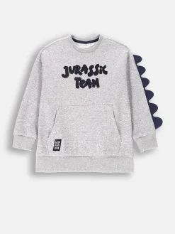 Sweatshirt in Grau