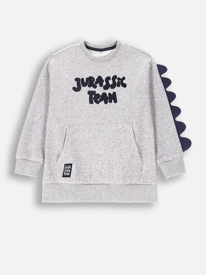 Sweatshirt in Grau