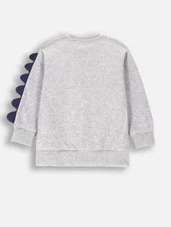 Sweatshirt in Grau