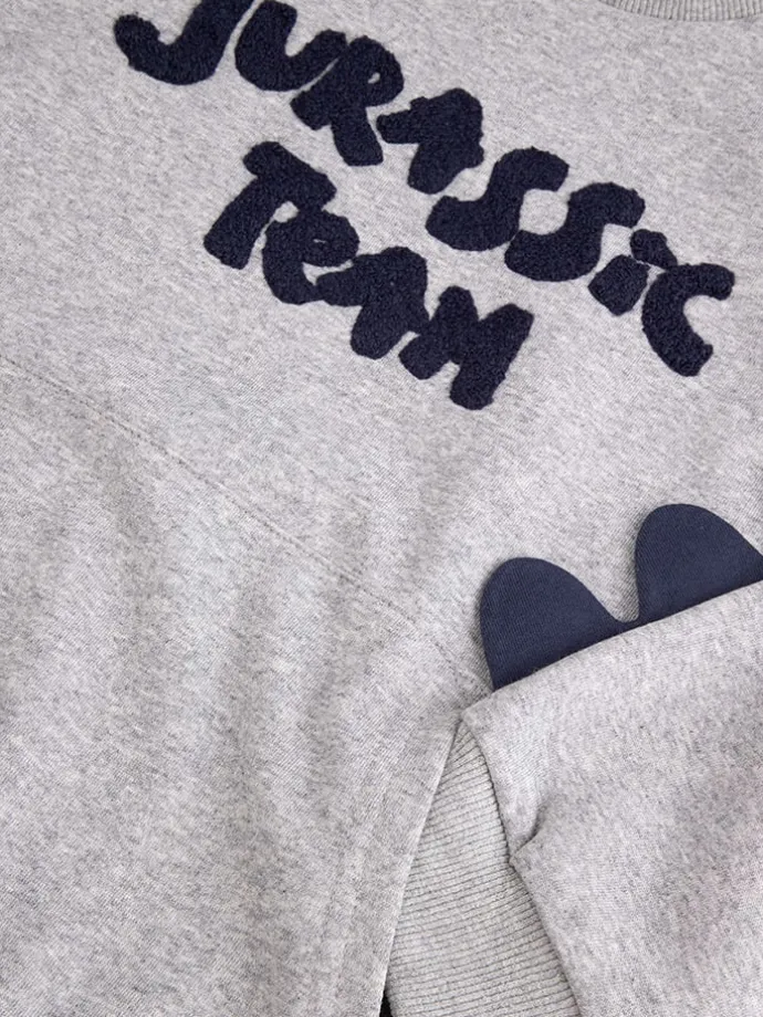 Sweatshirt in Grau