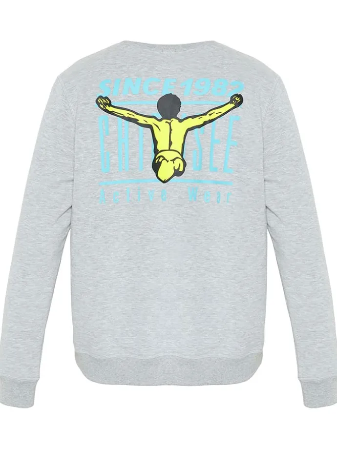 Sweatshirt in Grau