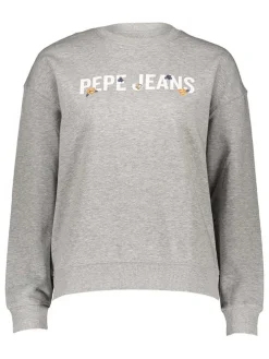 Sweatshirt in Grau