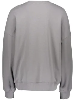 Sweatshirt in Grau