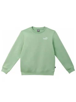 Sweatshirt in Grün