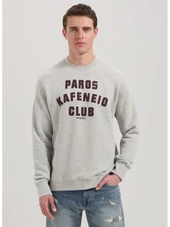 Sweatshirt in Hellgrau