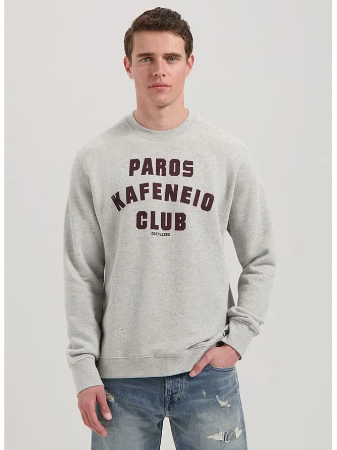 Sweatshirt in Hellgrau