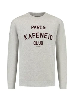 Sweatshirt in Hellgrau