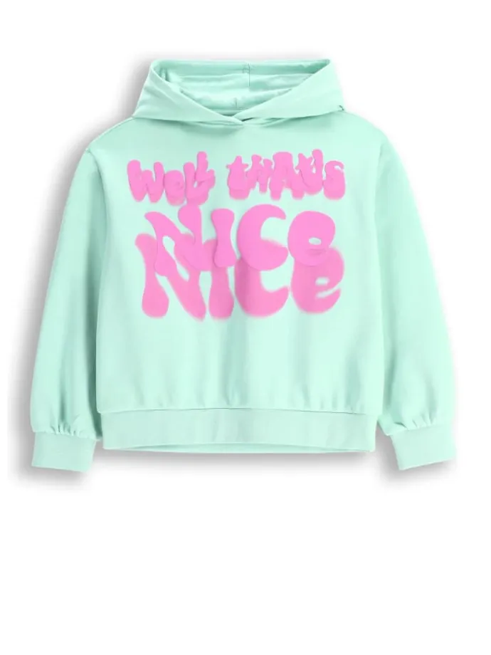 Sweatshirt in in Minzfarbe