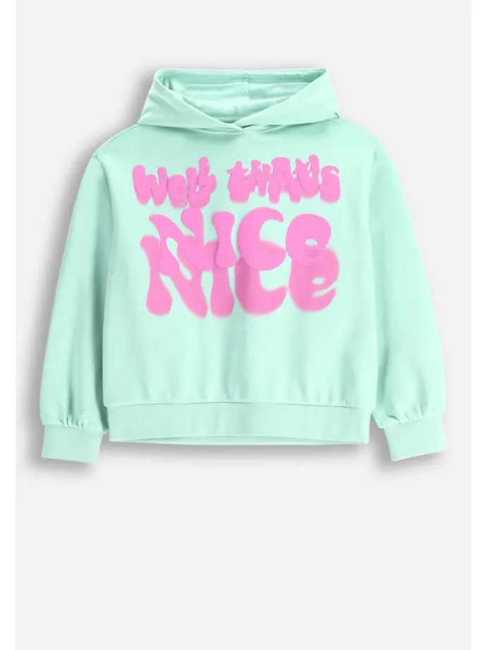 Sweatshirt in in Minzfarbe