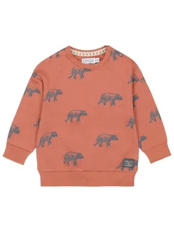 Sweatshirt in Orange