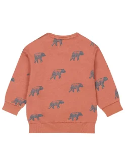 Sweatshirt in Orange