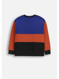 Sweatshirt ohne Kapuze in bunt