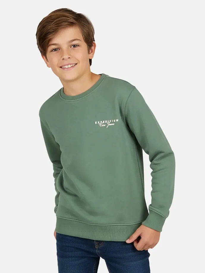 Sweatshirt "Taray" in Grün